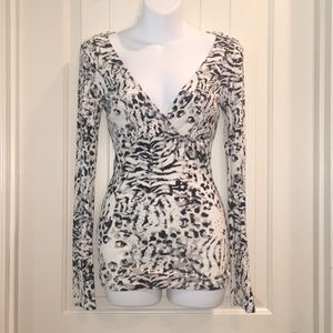 EUC Express V-Neck Leopard Print Long Sleeve shirt